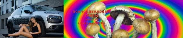 гашиш Заводоуковск